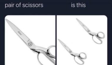 Discuss 👀