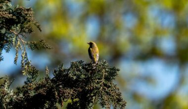 Sonnige Impressionen