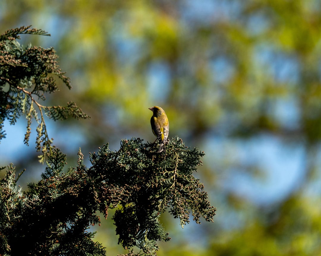 Sonnige Impressionen