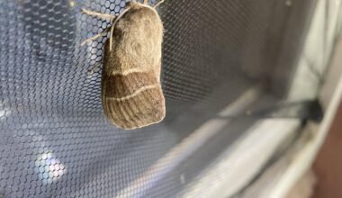 Was für ein großartiger Freund ist das denn?