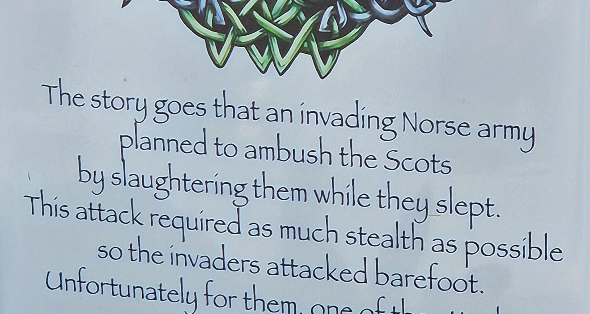 The legend of how the thistle came to be the flower of Scotland