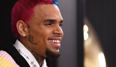 Chris Brown, chanteur américain de R&B, est détenu jusqu’à la mi-juin, après son inculpation pour une agression