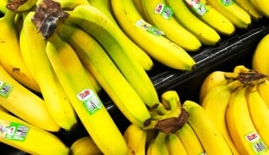 The drugs were found in nine boxes of bananas on April 3 (Jim WATSON)