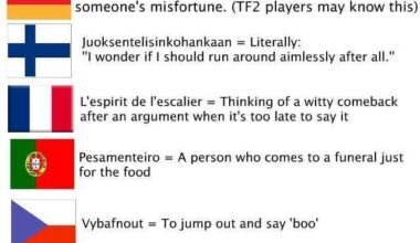 I think we have kinda taken schadenfreude anyways. I use it a lot .