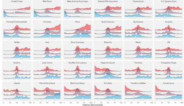 [OC] Affective evaluations of groups and candidates in 2024 election, by partisanship, from the American National Election 2024 timeseries.