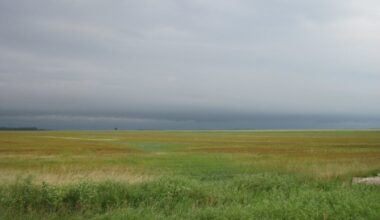 Csütörtökön ismét nedvesebb levegő alakítja időjárásunkat - Időjárás - Hírek