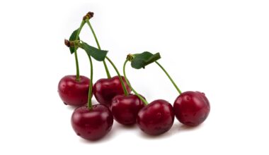 Bulgaria’s April 2025 was much colder than April 2024, irreparably damaging some crops – The Sofia Globe