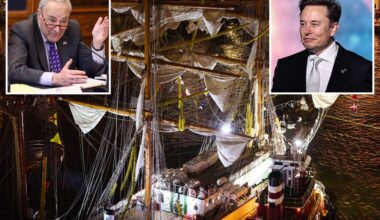 Schumer bizarrely claims DOGE could have been partly to blame for Mexican ship's deadly Brooklyn Bridge mishap
