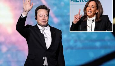Kamala Harris takes swipe at Elon Musk and Trump admin: 'Remember the 1930s'