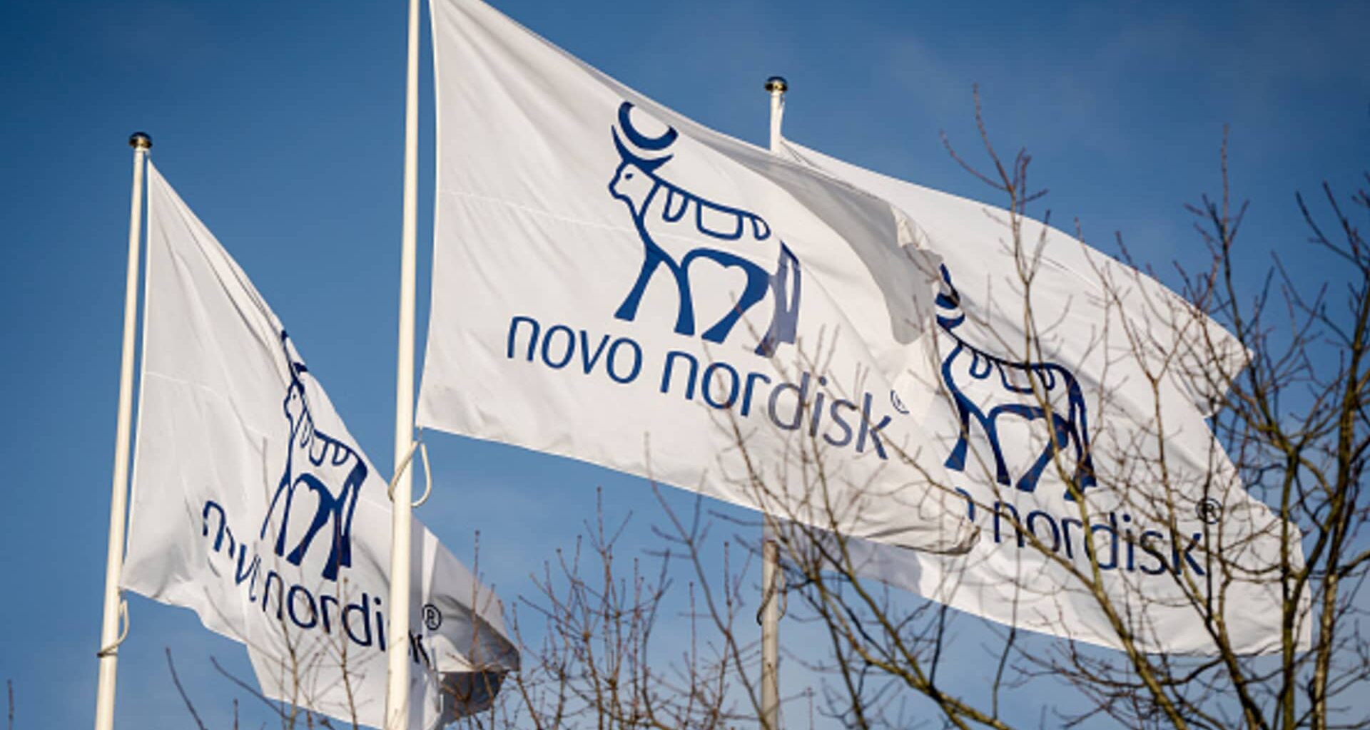 Novo Nordisk (NVO) earnings Q1 2025