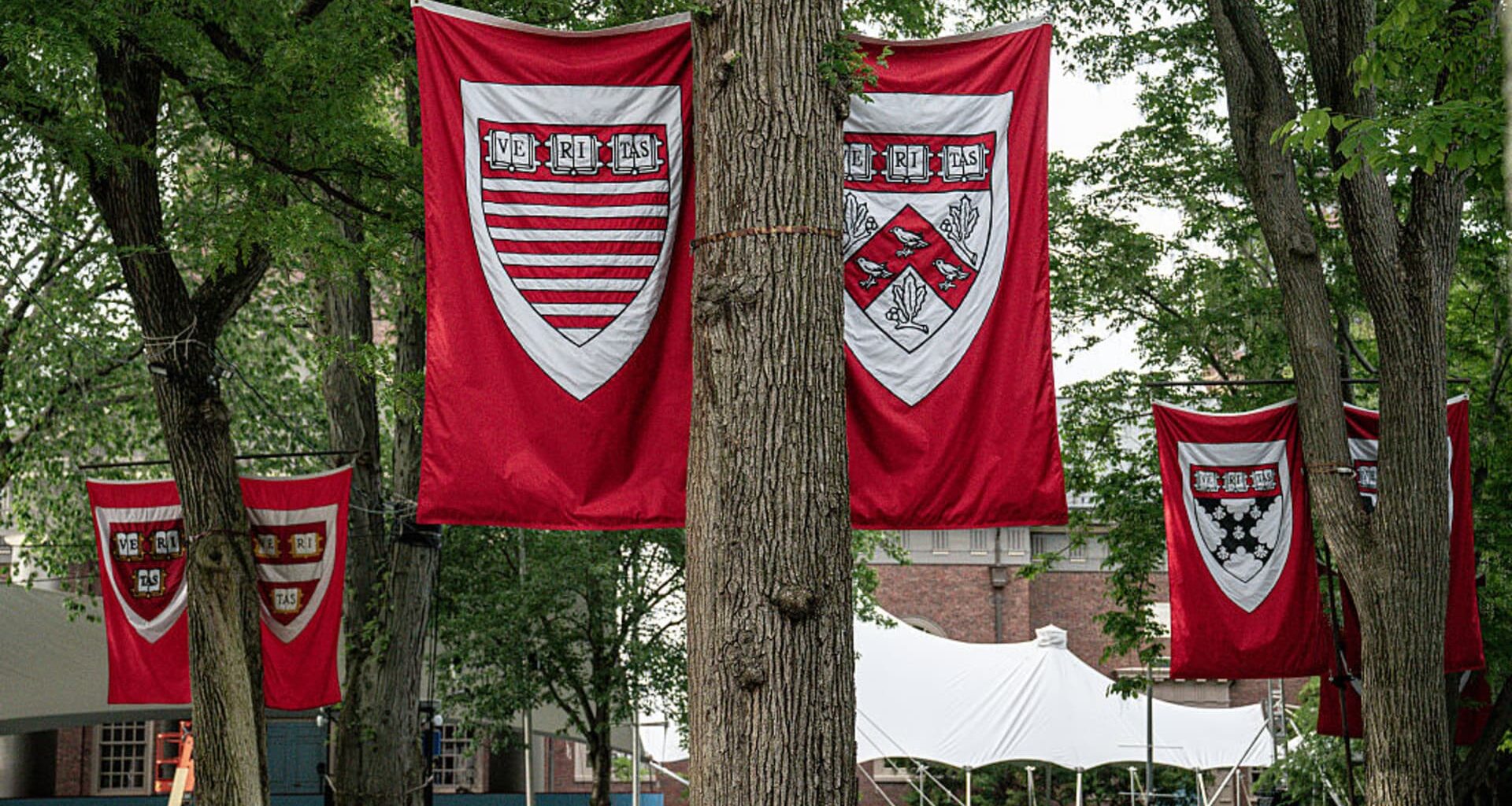 Harvard, Trump international enrollment battle affects college applicants