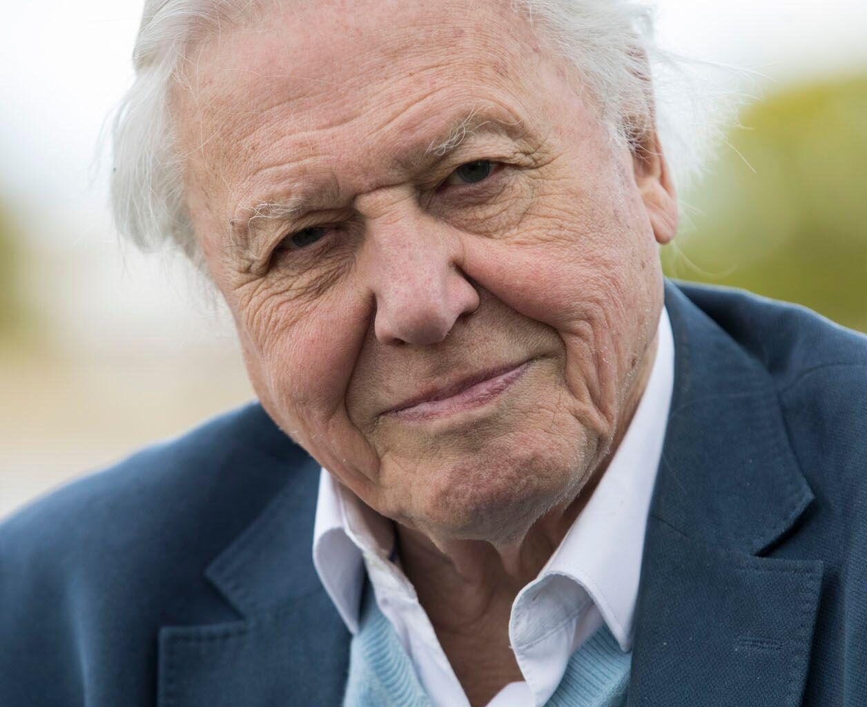 Happy 99th birthday to the amazing Sir David Attenborough!