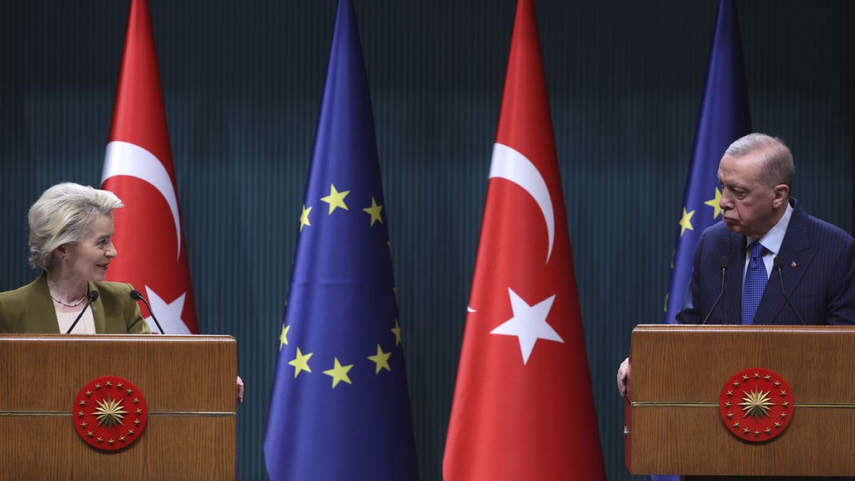European Parliament: Turkey's accession on hold, no progress since 2018
