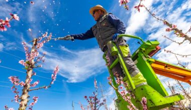 EU farm plan earmarks more cash for disaster relief even as it loosens green rules – POLITICO