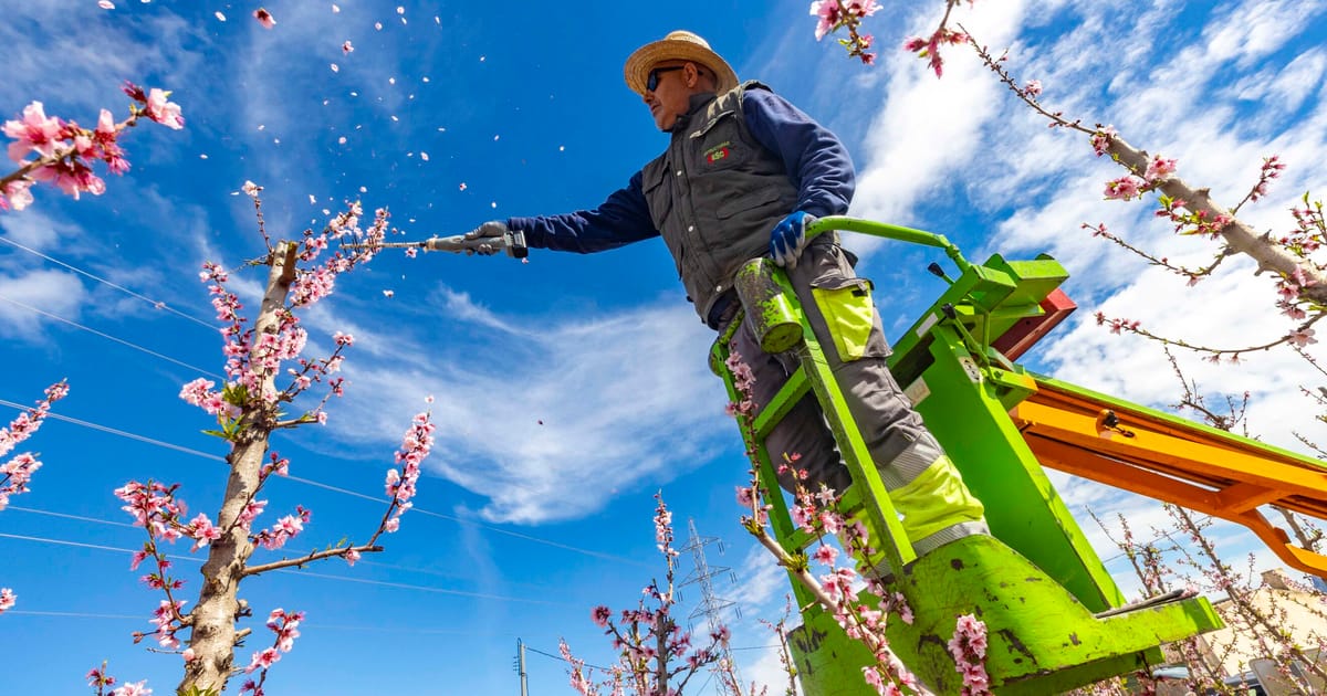 EU farm plan earmarks more cash for disaster relief even as it loosens green rules – POLITICO