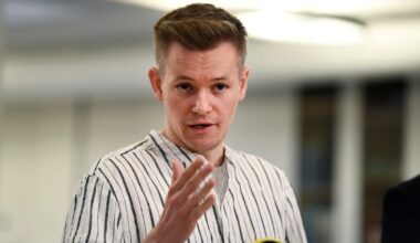 Swedish journalist jailed in Turkey for insulting Erdoğan is freed – POLITICO