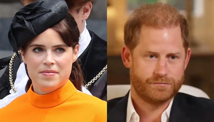 Princess Eugenie reduced to tears in new video after Prince Harry plea