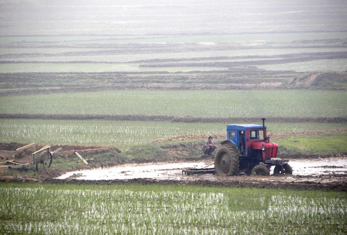 tractor, farm, farming, farms, farmer, supplies, agricultural, rations, security