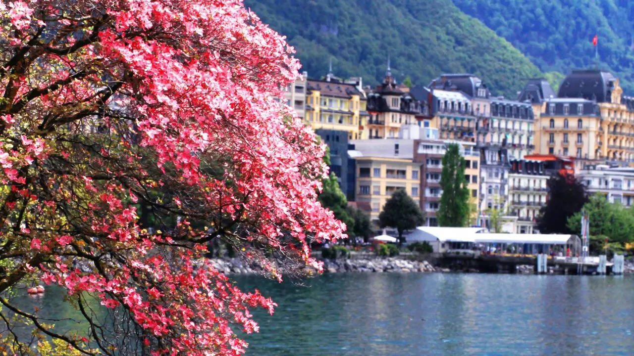 Montreux Credit Canva Montreux Credit Canva