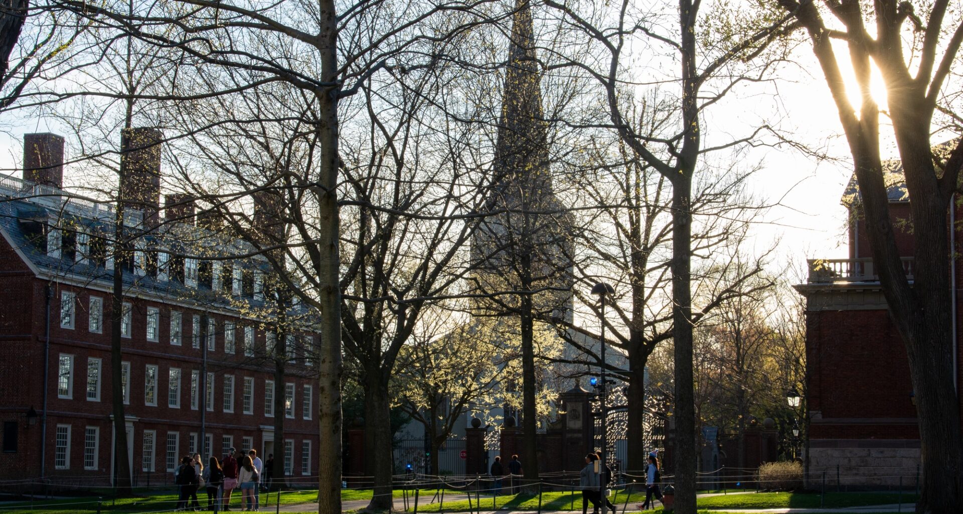The Harvard Crimson Logo