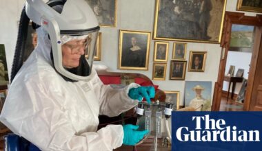 Denmark’s museum objects at risk from ‘extreme’ new mould, say conservators | Denmark