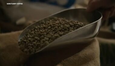 Small Business Spotlight: Sanctuary Coffee Roasting