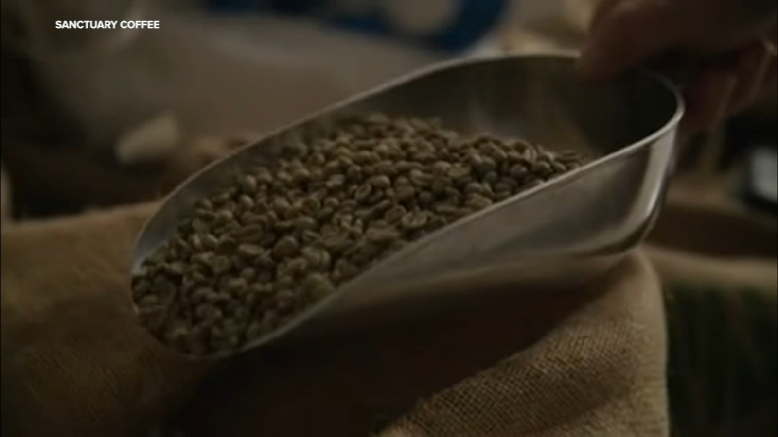 Small Business Spotlight: Sanctuary Coffee Roasting