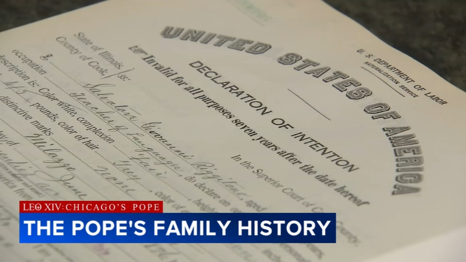 Pope Leo family history: Cook Country archives show Chicago-born Pope Leo XIV's grandfather immigrated from Italy to US
