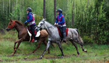 Kestvusratsutamise Eesti meistritiitli võitis Eliise Laur