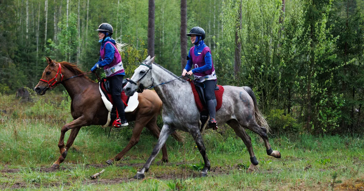 Kestvusratsutamise Eesti meistritiitli võitis Eliise Laur