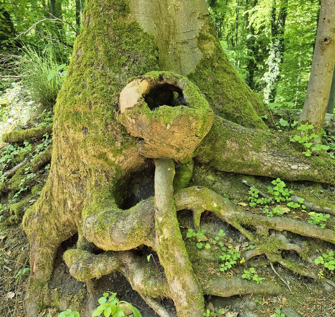 Was es nicht alles gibt...