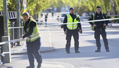 Teen detained after triple murder at Sweden hair salon is freed; 3 men arrested