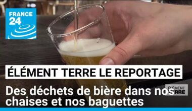 Des déchets de bière dans nos chaises et nos baguettes • FRANCE 24