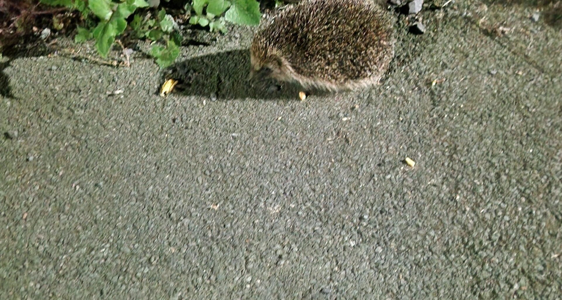 Met a friend on my way home from work.