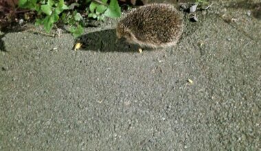 Met a friend on my way home from work.