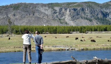 7 doden bij crash toeristenbusje bij Yellowstone National Park