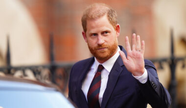 Prince Harry urges review of royal security body after losing court appeal | World News