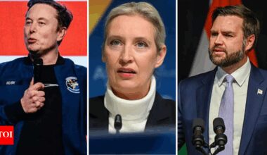 'Fate loves irony': Elon Musk, JD Vance defend Germany's 'right-wing extremist' AfD