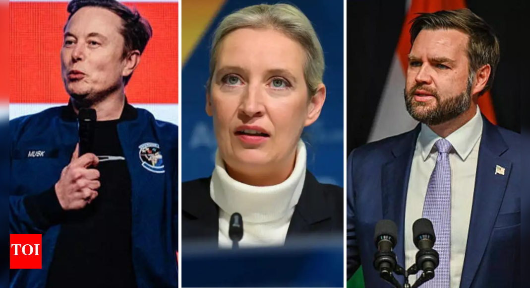 'Fate loves irony': Elon Musk, JD Vance defend Germany's 'right-wing extremist' AfD