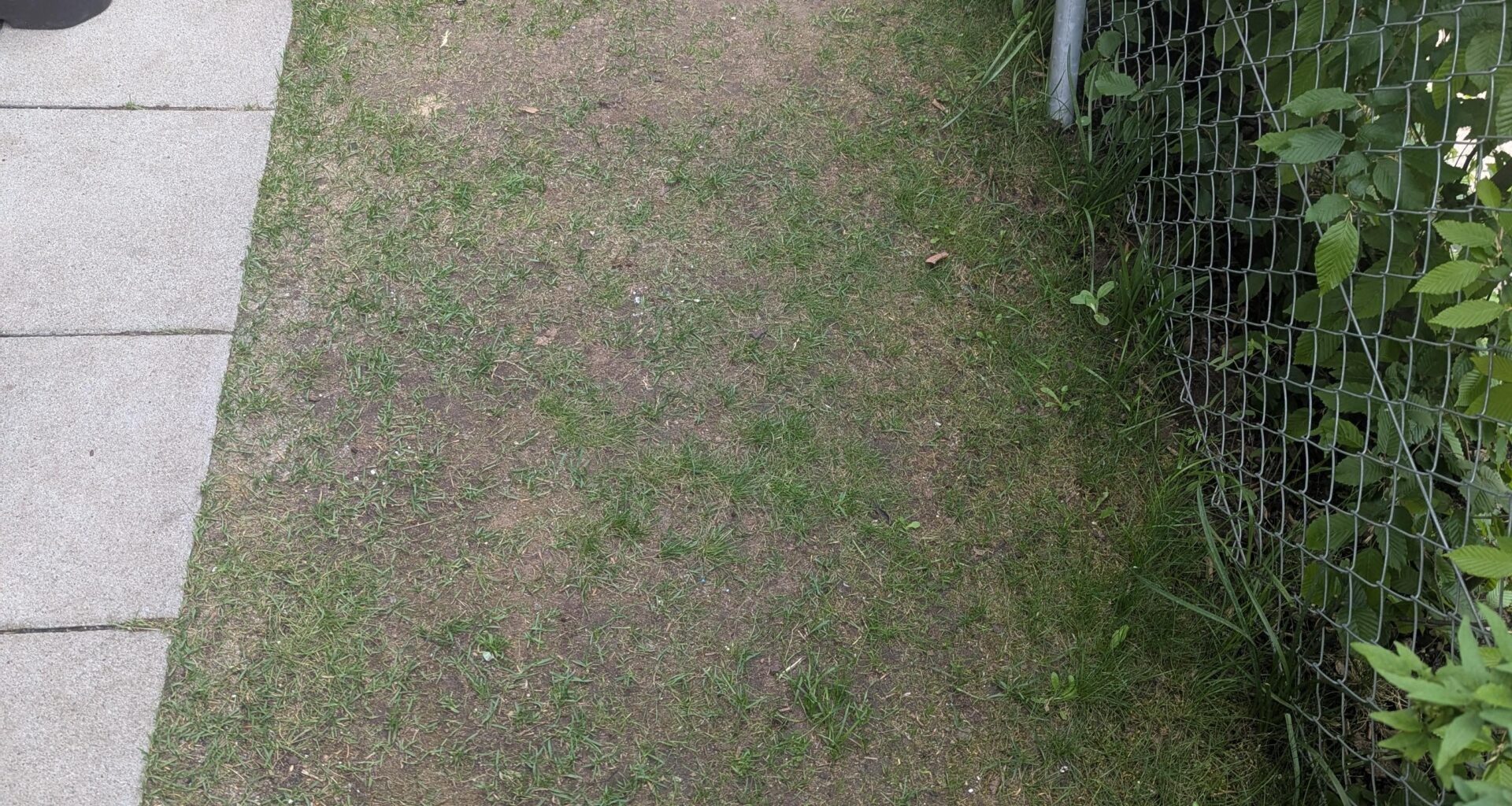 Was tun mit nutzlosen Rasen