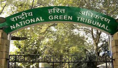 NGT notice to Centre, firm for starting work on bulk drug park without environment clearance