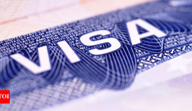 One strike and you’re out: Trump’s harsh ‘catch and revoke’ rule could cost foreign students their visa over minor offenses