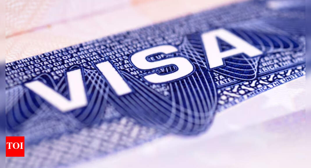 One strike and you’re out: Trump’s harsh ‘catch and revoke’ rule could cost foreign students their visa over minor offenses