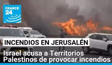 Israel acusa a Territorios Palestinos de provocar los incendios forestales en Jerusalén