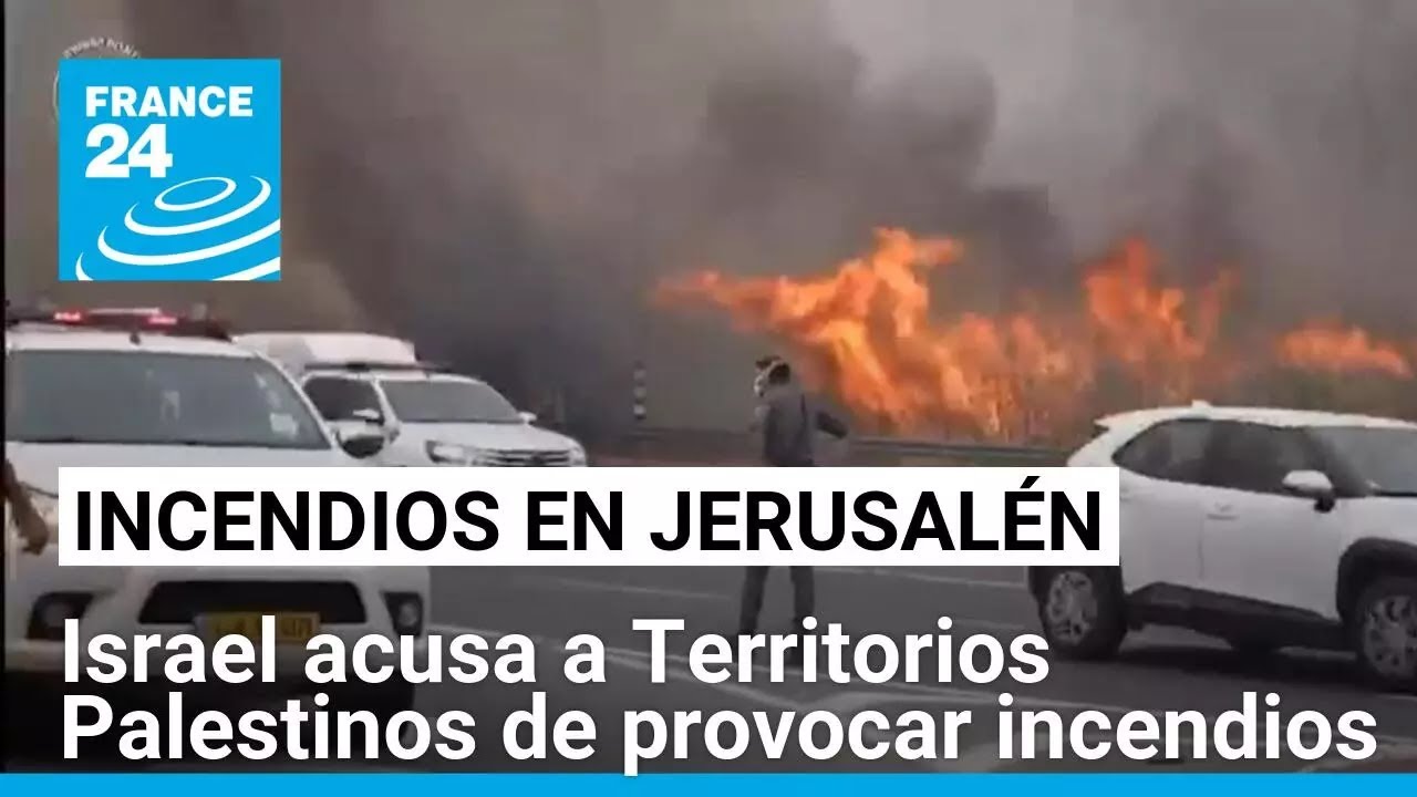 Israel acusa a Territorios Palestinos de provocar los incendios forestales en Jerusalén