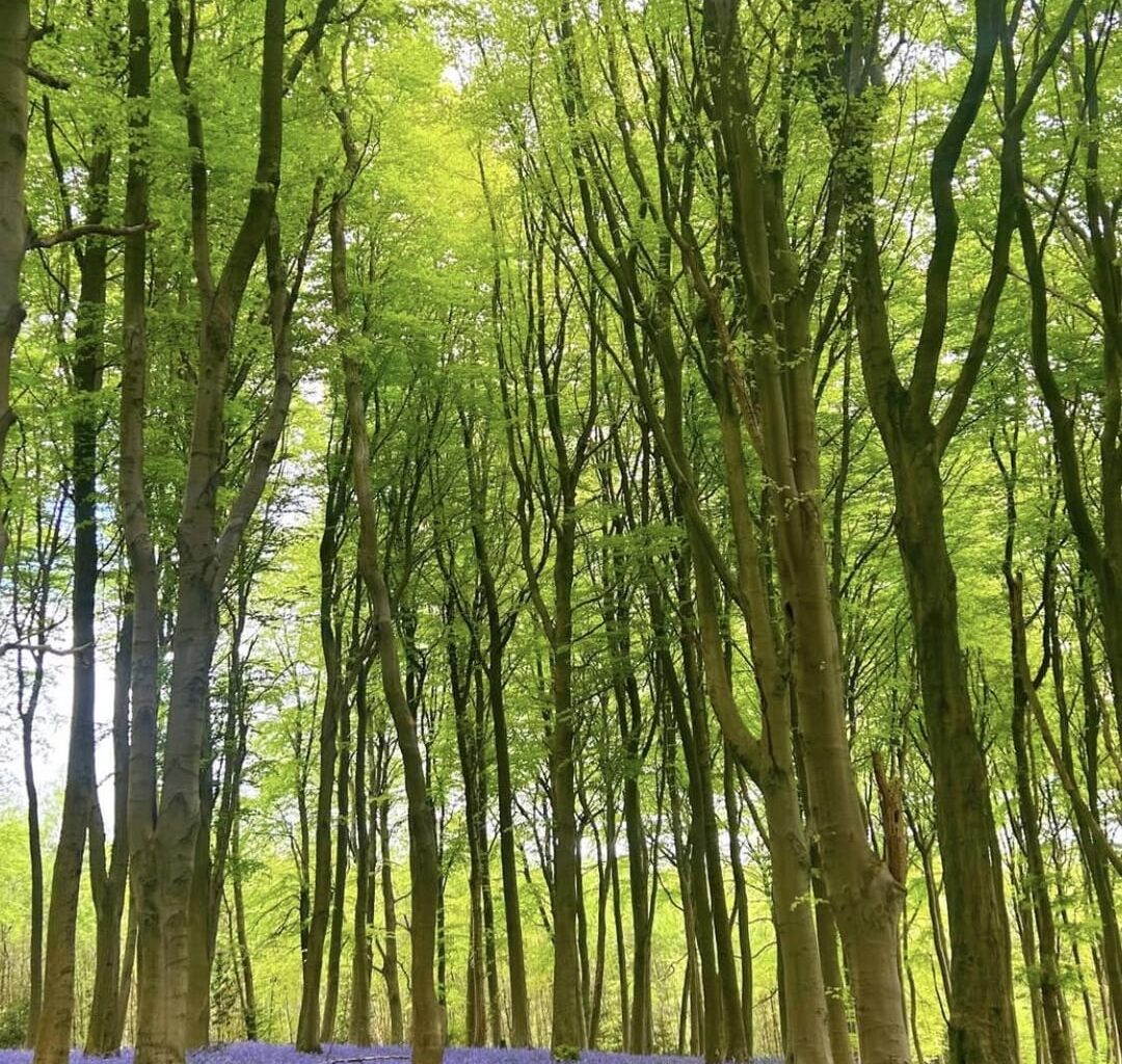 Peak District Walks