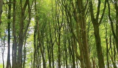 Peak District Walks