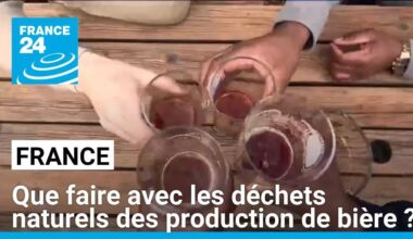 Que faire avec les déchets naturels des productions de bière ? • FRANCE 24