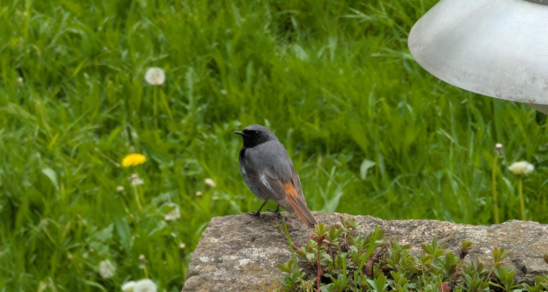 Welcher ist das denn? <3