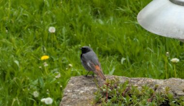 Welcher ist das denn? <3